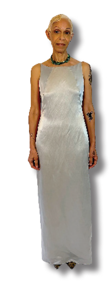 VALENTINO SILVER DRESS